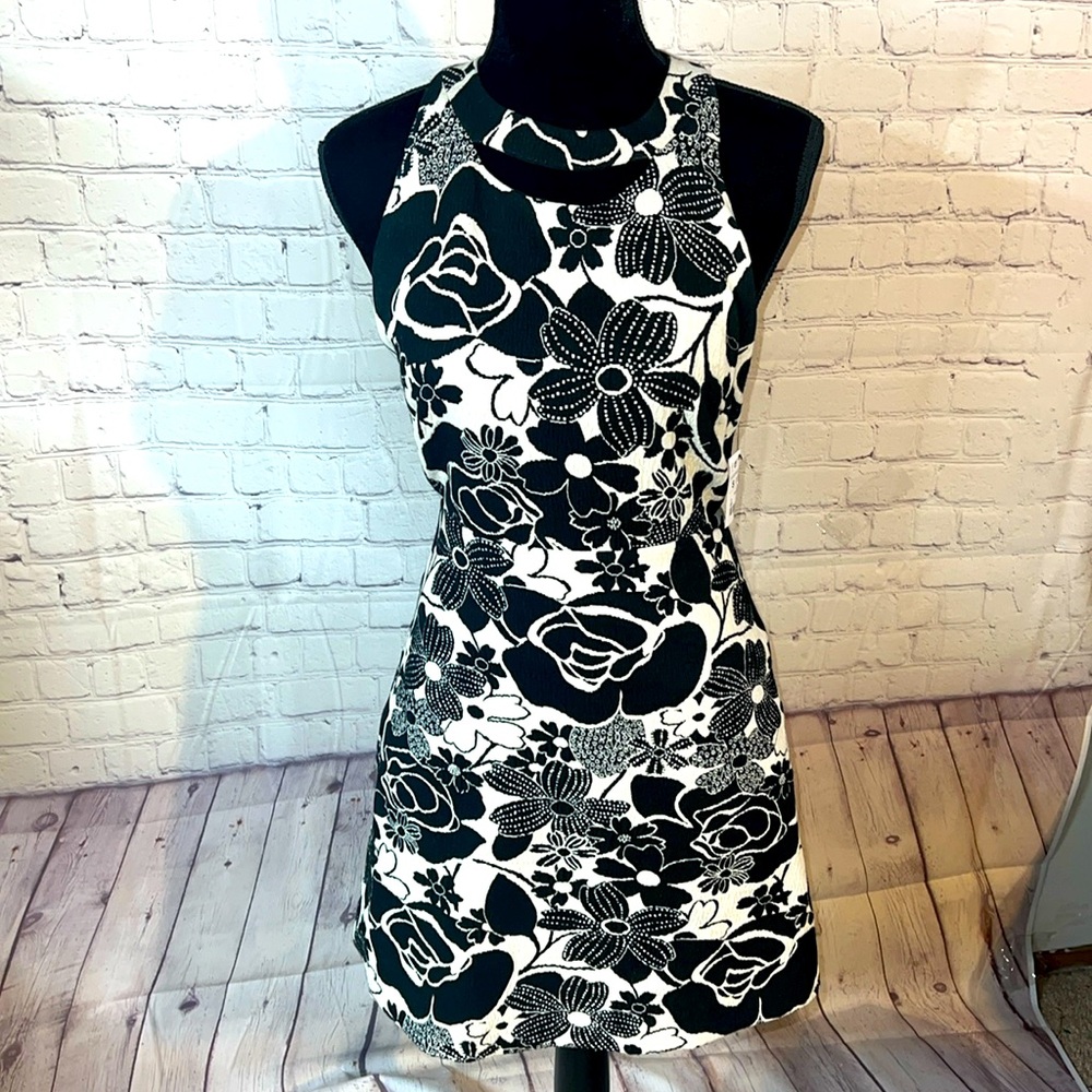Size small Zara Basic black and white sleeveless dress. High neck. Like new.